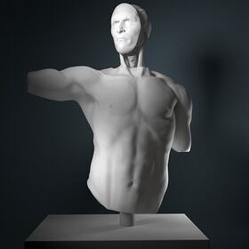3D human anatomy sculpting