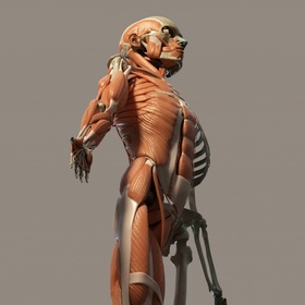 3D Character Modeling